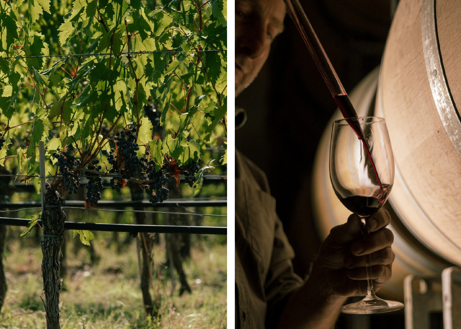 flo-tsucan-winery-08
