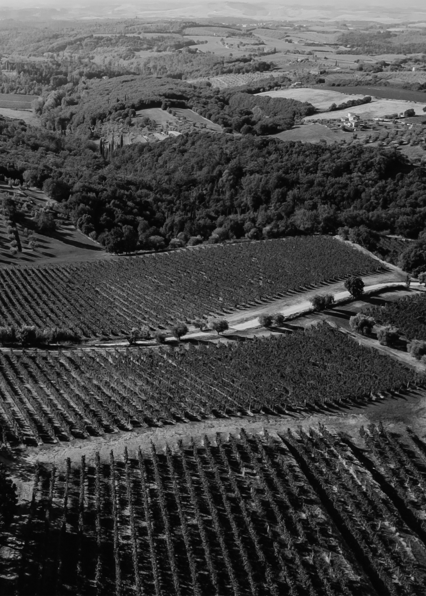 flo-tuscan-winery-01